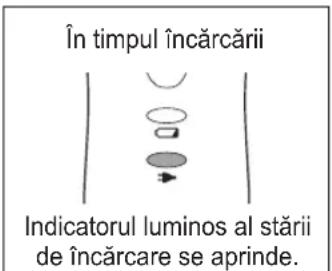 În timpul încărcării Indicatorul luminos al stării de încărcare se aprinde.