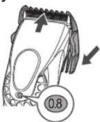 0.8