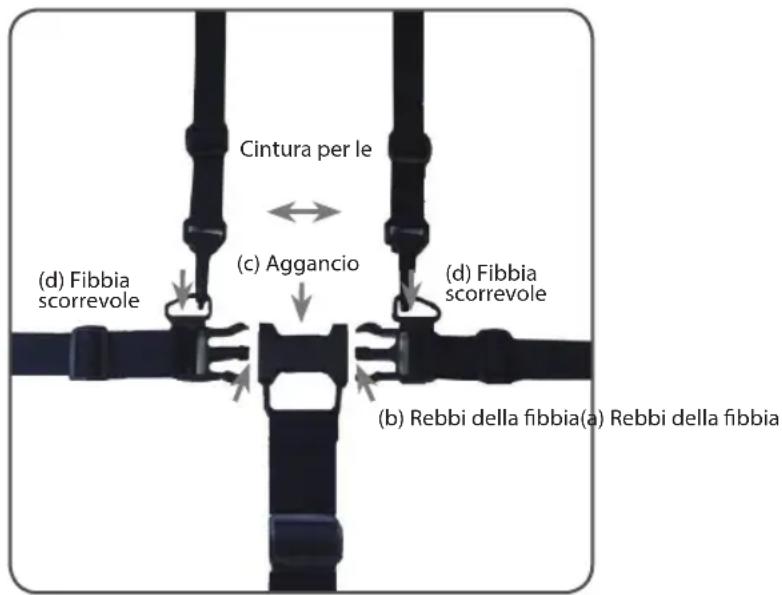 Zopa Dolce ZOP055720 - Cinture di sicurezza - 1