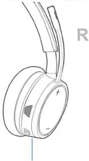 DELL WL7022 - Kroky - 1