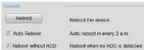 Reboot Reboot the device ✓ Auto-Reboot ✓ Reboot without HDD Auto-reboot in every 2 a.m. Reboot when no HDD is detected.