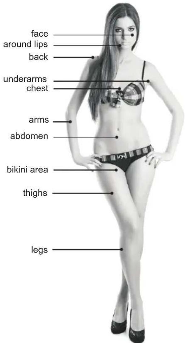face around lips back underarms chest arms abdomen bikini area thighs legs