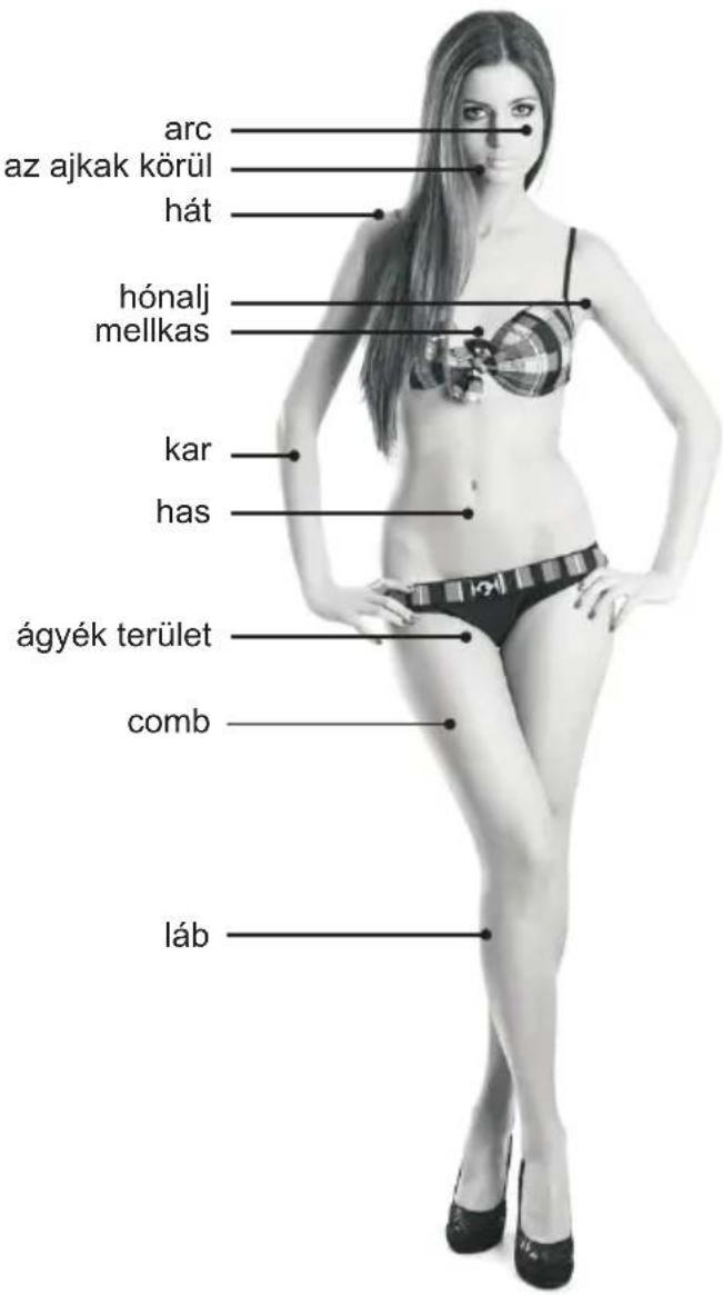 arc az ajkak körül hát hónalj mellkas kar has ágyék terület comb láb