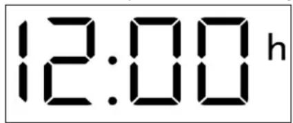 12:00 h
