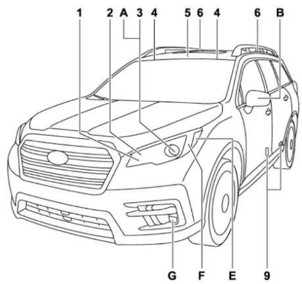 SUBARU 2019 - CAUTION - 1