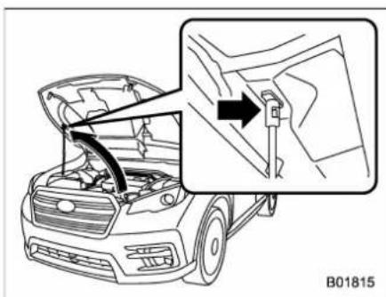 SUBARU 2019 - To open the hood: - 3