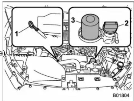SUBARU 2019 - ■ Locations of the oil level gauge, oil filler cap and oil filter - 1
