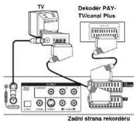 TV Dekodér PAY- TV/canal Plus Zadni strana rekorderu