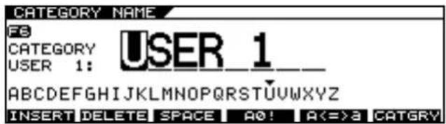 ROLAND VG-99 - Naming User Categories (CATEGORY NAME) - 2