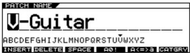 ROLAND VG-99 - Setting Patch Categories - 2