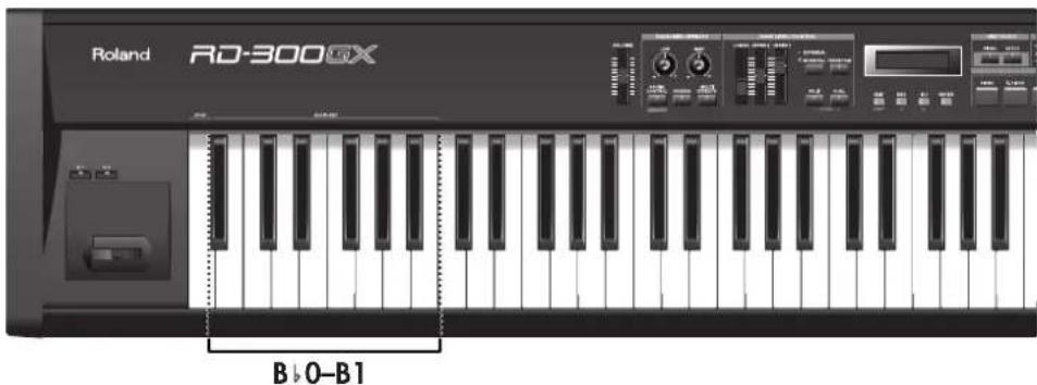 ROLAND RD-300GX - Play a key B0-B1. - 1
