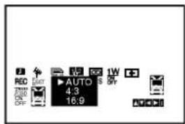 REC AUTO 4.3 16.9