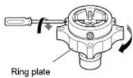 Ring plate