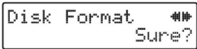 Disk Format Sure?