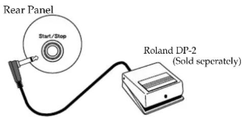 Rear Panel Start/Stop Roland DP-2 (Sold separately)
