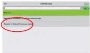Remove Preside of Service Phenomena Colors