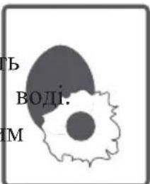 Kernau KFWM 6422103 - Чай та кава: - 4