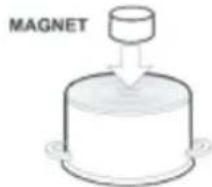 MAGNET