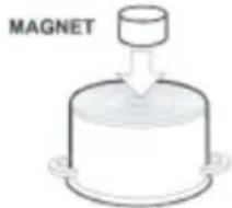 MAGNET