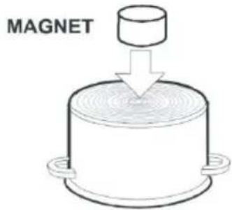MAGNET