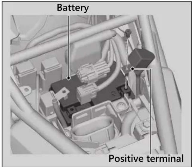 Honda Rebel 300 (2020) - Removing & Installing Body Components ▶ Battery - 2