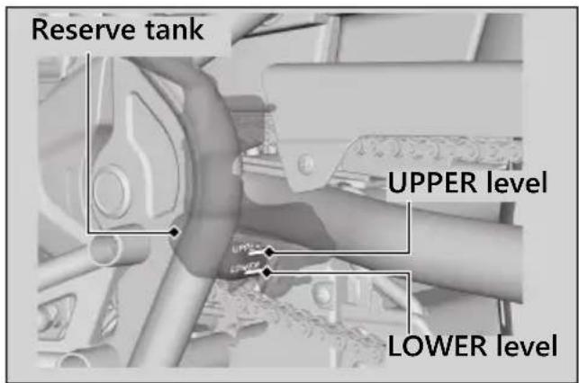 Honda Rebel 300 (2020) - Checking the Coolant - 1
