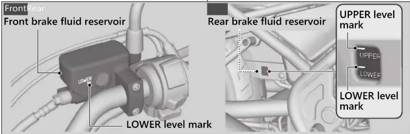 Honda Rebel 300 (2020) - Checking Brake Fluid - 1