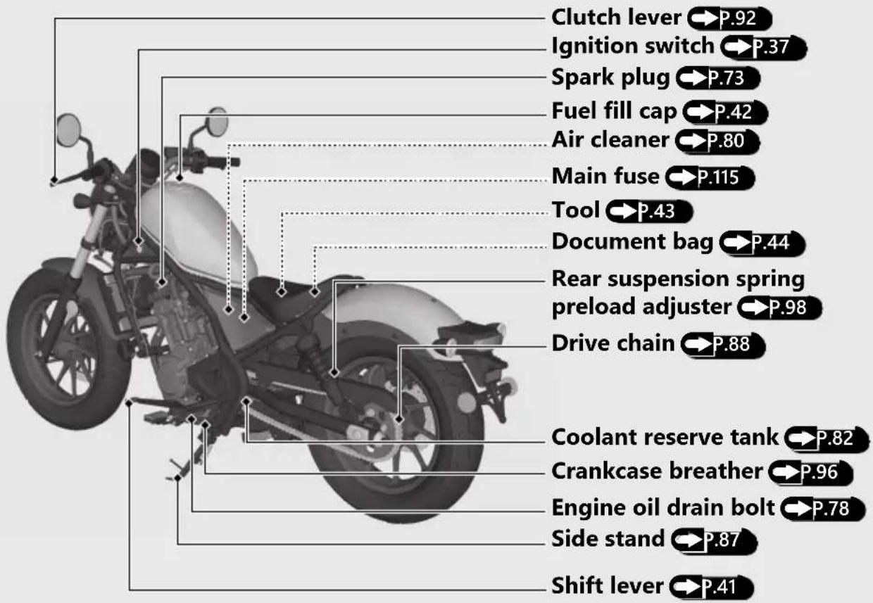 Honda Rebel 300 (2020) - Parts Location - 2