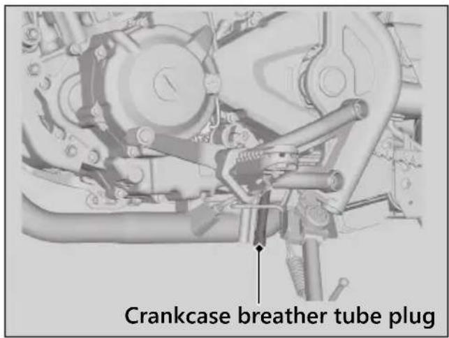 Honda Rebel 300 (2020) - Cleaning the Crankcase Breather - 1