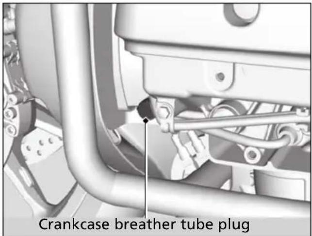 Honda Gold Wing Valkyrie GL1800C (2014) - Cleaning the Crankcase Breather - 1