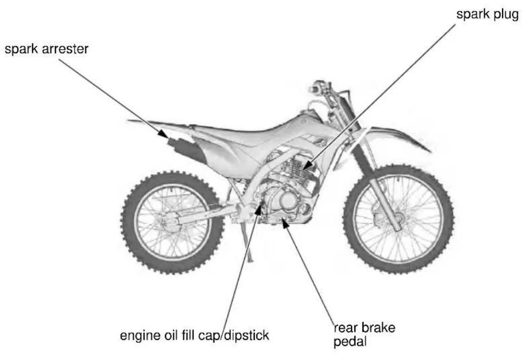 Honda Big Wheel CRF125F (2020) - Maintenance Component Locations - 1