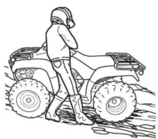 Honda FourTrax Recon TRX250TM (2020) - WARNING - 2