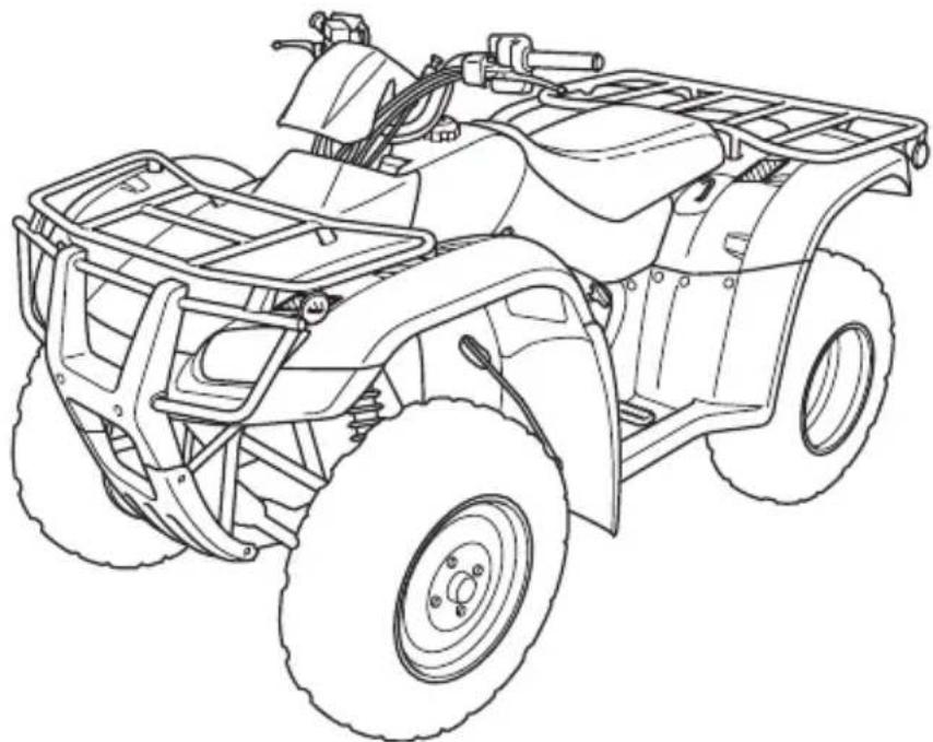 Honda FourTrax Recon TRX250TM (2020) - Quick Reference - 1