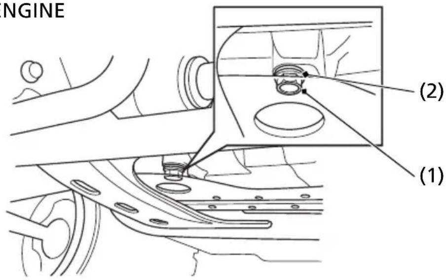 Honda FourTrax Recon TRX250TM (2020) - Drain the Engine Oil: - 1