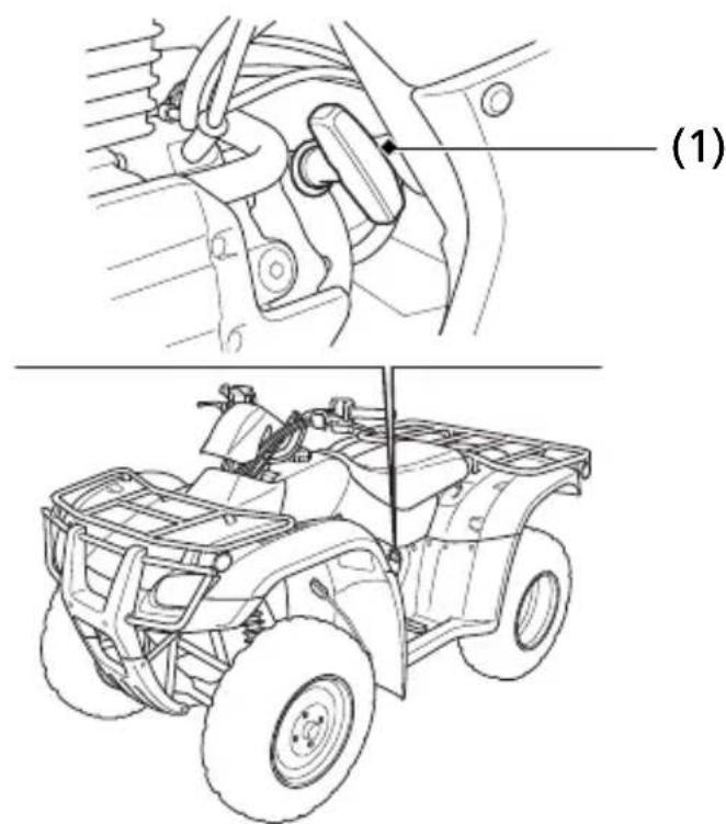 Honda FourTrax Recon TRX250TM (2020) - Recoil Starter - 1
