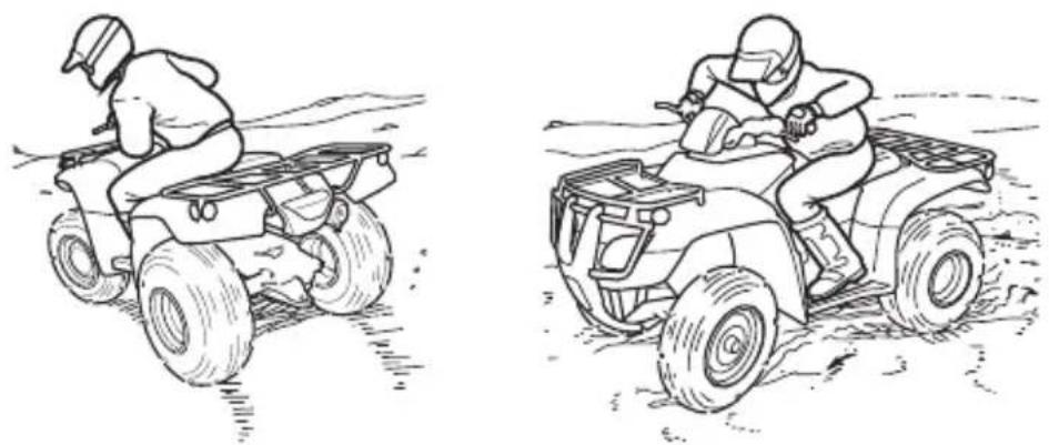 Honda FourTrax Recon TRX250TM (2020) - WARNING - 1