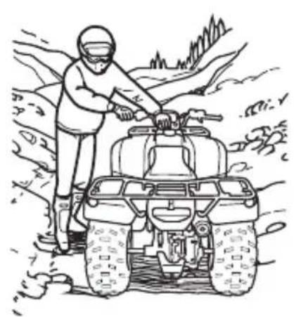 Honda FourTrax Recon TRX250TM (2020) - WARNING - 1