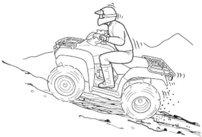 Honda FourTrax Recon TRX250TM (2020) - WARNING - 1