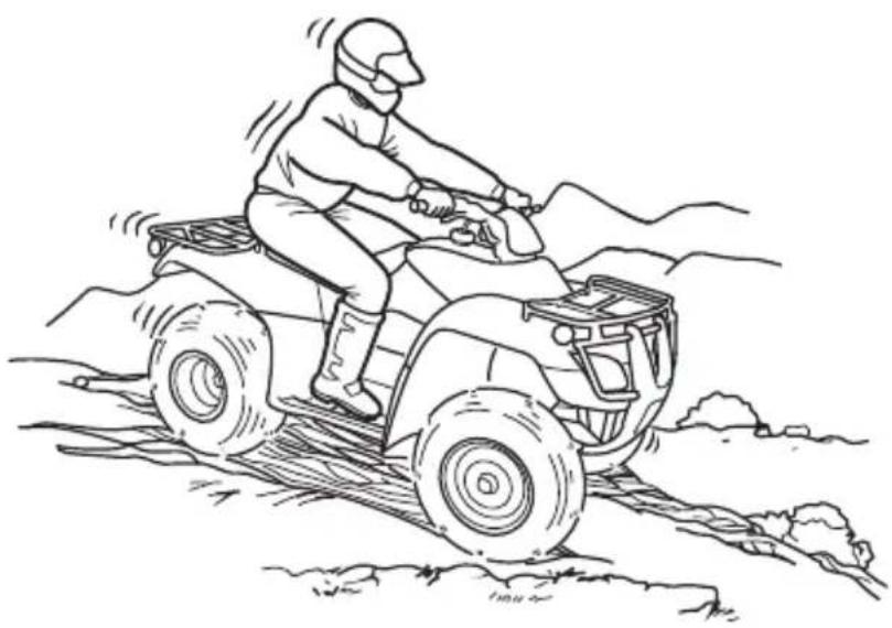 Honda FourTrax Recon TRX250TM (2020) - WARNING - 1