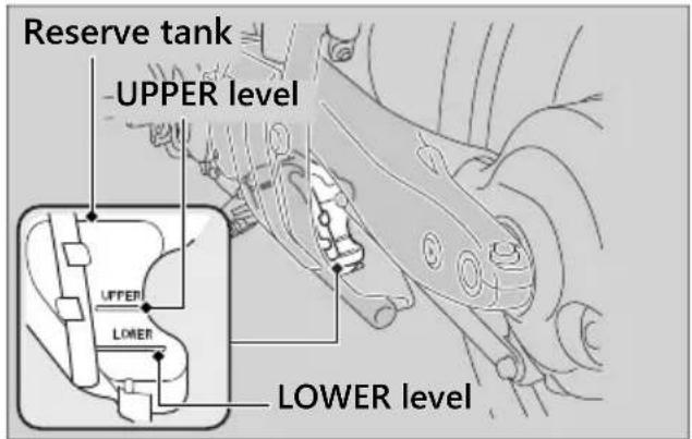 Honda Fury VT1300CX (2020) - Checking the Coolant - 1