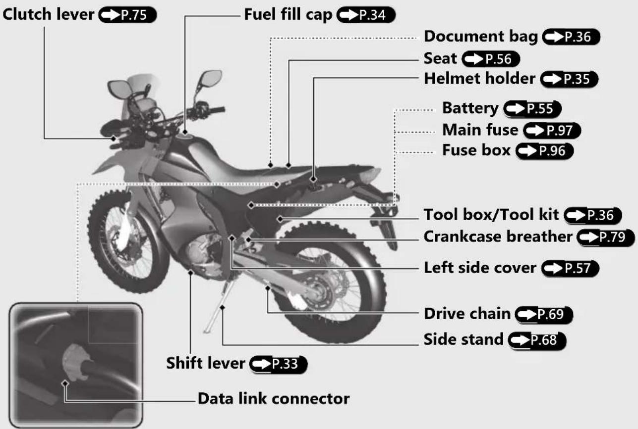 Honda Rally CRF250 (2019) - Parts Location - 2