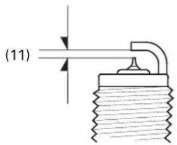 (11)