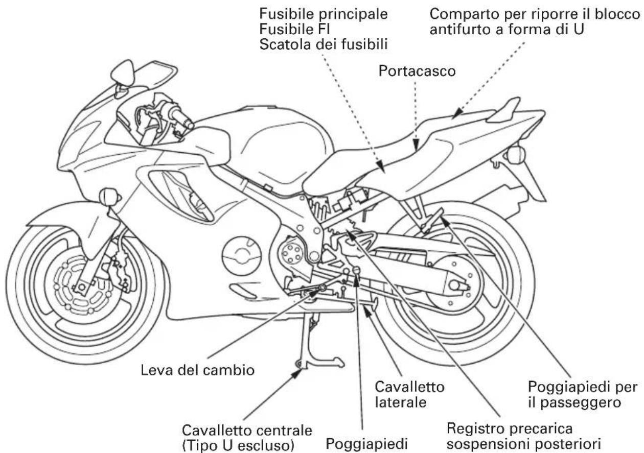 Fusibile principale Fusibile FI Scatola dei fusibili Comparto per riporre il blocco antifurto a forma di U Portacasco Leva del cambio Cavalletto centrale (Tipo U escluso) Poggiapiedi Cavalletto laterale Poggiapiedi per il passeggero Registro precarica sospensioni posteriori