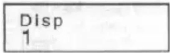Disp 1