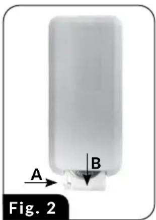 A B Fig. 2