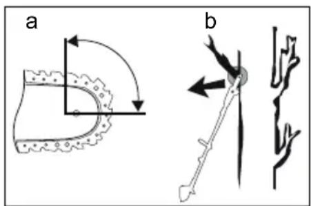 a b