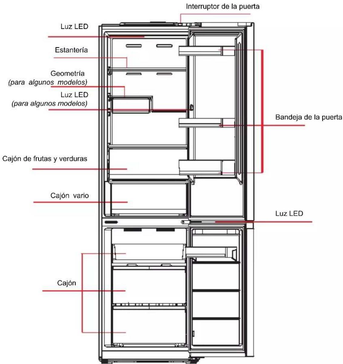 Interruptor de la puerta Luz LED Estantería Geometría (para algunos modelos) Luz LED (para algunos modelos) Cajón de frutas y verduras Cajón vario Cajón Bandeja de la puerta Luz LED