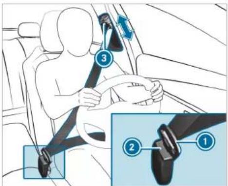 Mercedes-Benz GLE (2022) - Fastening and adjusting seat belts - 1