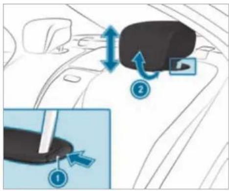 Mercedes-Benz S-Class (2022) - Head restraints - 4