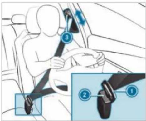 Mercedes-Benz S-Class (2022) - Fastening and adjusting seat belts - 1
